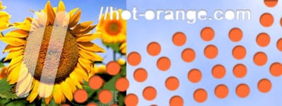 hotorange